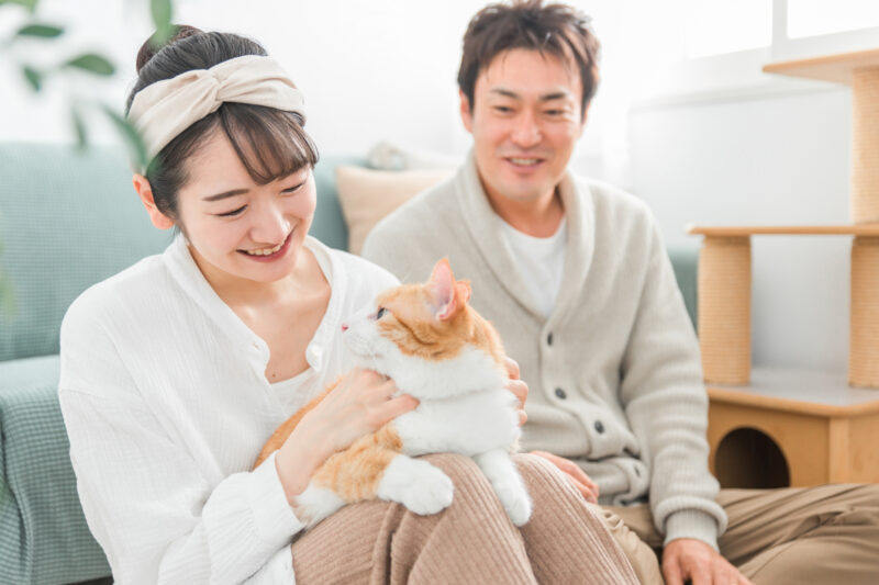 【お悩み相談】ペットを飼っていた家の売却は難しい？